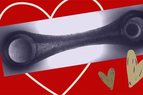 a still photo of a beating heart tissue against a red background with illustrated hearts