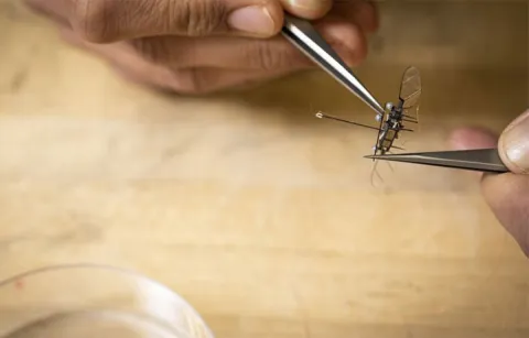 Tweezers holding a microrobot