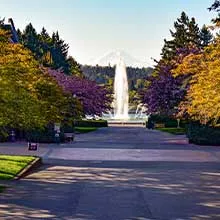 Colorful trees at UW campus