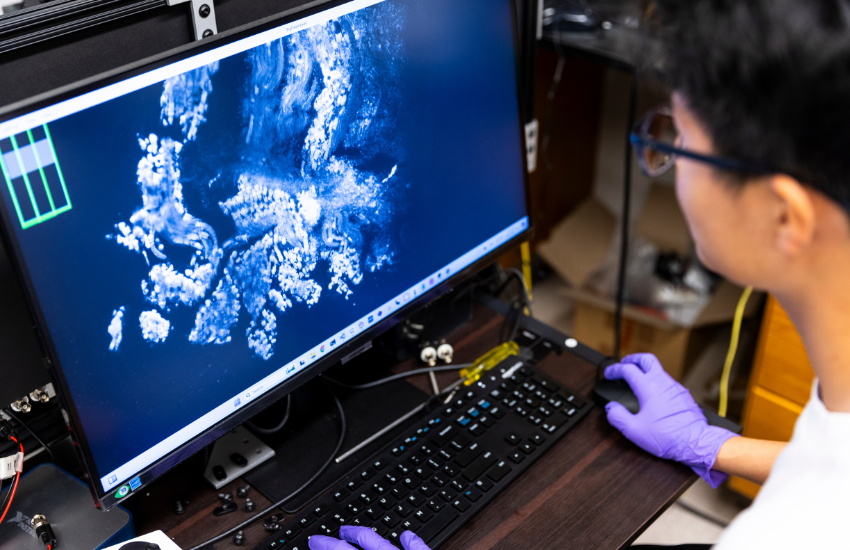 A person is shown looking at a computer screen, which shows an image of the surgical margin of a specimen.