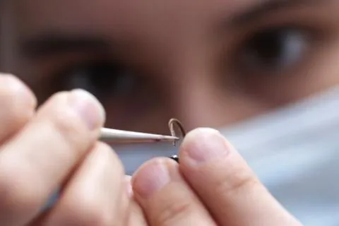 UW engineer Melanie Anderson carefully threads a moth antenna onto a circuit. The hair-like wires slide perfectly into the hollow tube of the antenna.