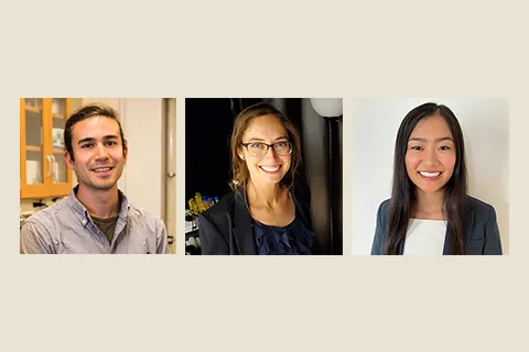 Collage of three researchers' headshots