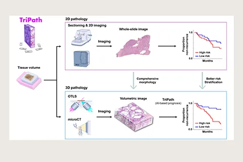 A comparison diagram of 2D pathology and 3D pathology methods for tissue analysis.